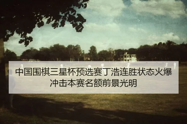 zhong-guo-wei-qi-san-xing-bei-yu-xuan-sai-ding-hao-lian-sheng-zhuang-tai-huo-bao-chong-ji-ben-sai-ming-e-qian-jing-2-804.jpg